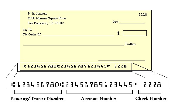 Diagram Of A Check